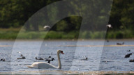 Rosenkällasjön Lake In Linköping, Sweden.