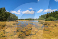 Rosenkällasjön Lake In Linköping, Sweden.