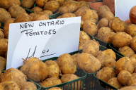 Farmers' Market In Brampton, Ontario