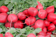 Farmers' Market In Brampton, Ontario