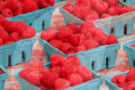 Farmers' Market In Brampton, Ontario