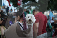 Toronto Iranians Rally After U.S. Strikes On Iran