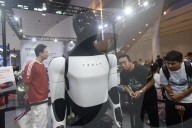 Tesla's Humanoid Robot Optimus