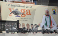 International Day of Yoga in Kashmir