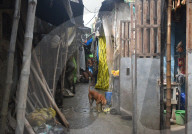 Daily Life In Kolkata, India