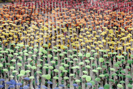 Creation The World's Largest Rainbow Flag On Pride Celebrations