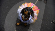 LGBTQ+ Rights Annual Pride Parade, In Sao Paulo