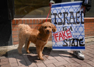 Woman With Israeli Flag Attacked During Edmonton Pro-Palestine Protest