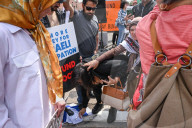 Woman With Israeli Flag Attacked During Edmonton Pro-Palestine Protest
