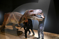 Internationally acclaimed interactive dinosaur exhibition.