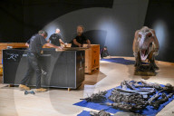 Internationally acclaimed interactive dinosaur exhibition.