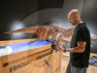Internationally acclaimed interactive dinosaur exhibition.