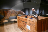 Internationally acclaimed interactive dinosaur exhibition.