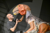 Internationally acclaimed interactive dinosaur exhibition.