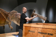 Internationally acclaimed interactive dinosaur exhibition.