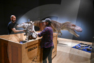 Internationally acclaimed interactive dinosaur exhibition.