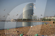 Clearing And Cleaning Of Barcelona Beaches After St. John's Eve.