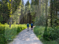 Alpine Hiking In Bavaria
