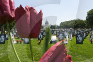 DC: OAIC movement hold a 44th Anniversary on Democracy and Peace celebration