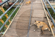 Everyday Life On The Riverside In Dhaka