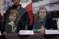 Progress Report For Roundtables On Disappearances In Mexico 