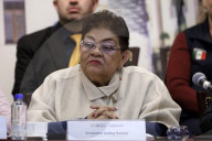 Progress Report For Roundtables On Disappearances In Mexico 