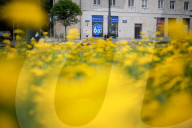 Daily Life In Warsaw