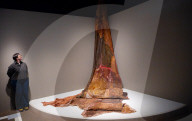 Wellcome Collection Thirst: In Search of Freshwater exhibition opens, London, UK.