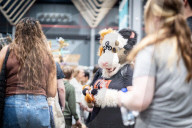 Dutch Comic Con Heroes
