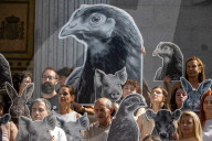 Madrid: Animal Rights Demonstration Against Cages