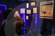 Tim Burton's Labyrinth Immersive Exhibition In Mexico