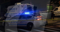 36-year-old Woman Fatally Shot To The Head At Carlton Avenue And Pacific Avenue