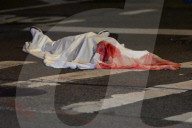 36-year-old Woman Fatally Shot To The Head At Carlton Avenue And Pacific Avenue