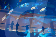 Dubai Travel