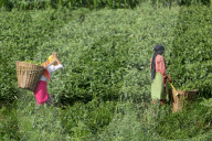 Daily Life In Nepal