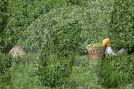 Daily Life In Nepal
