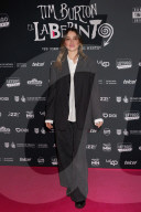 Labyrinth Of Tim Burton Red Carpet