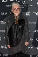 Labyrinth Of Tim Burton Red Carpet