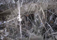 Iran-Israel War, Aftermath