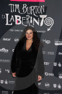 Labyrinth Of Tim Burton Red Carpet