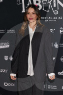 Labyrinth Of Tim Burton Red Carpet