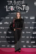 Labyrinth Of Tim Burton Red Carpet