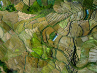 Aerial View Of Terraced Farmland In Kathmandu, Nepal.