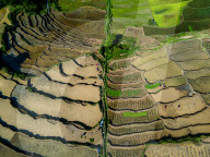 Aerial View Of Terraced Farmland In Kathmandu, Nepal.