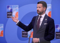 NATO Summit In The Hague