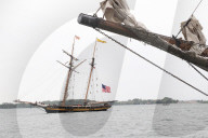 Parade Of Sail, Toronto, Canada