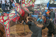 Traditional Horse Performance In Sumedang, Indonesia