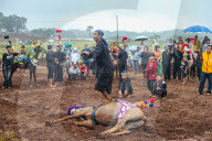 Traditional Horse Performance In Sumedang, Indonesia