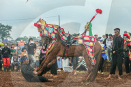 Traditional Horse Performance In Sumedang, Indonesia