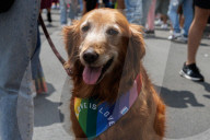 47th Edition Of The Mexico City Pride March